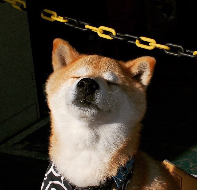 球队是否构建以节奏切换为基础的控球转攻模式，控球节奏如何提高