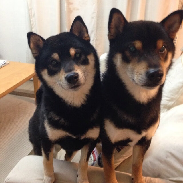 转身技术成200米自由泳隐形胜点，自由泳转身多少度