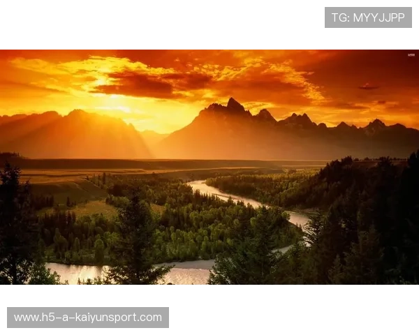 中超球队在数据分析应用上逐步成熟并获成效,中超各球队支出