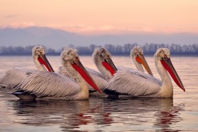 开yun官网-国际热身赛中国女足逆袭 球迷热情高涨，国足热身赛大胜