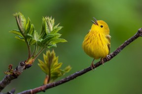 开云体育网页版-体育新闻中心联合高校推进体育新闻实训基地，体育系新闻