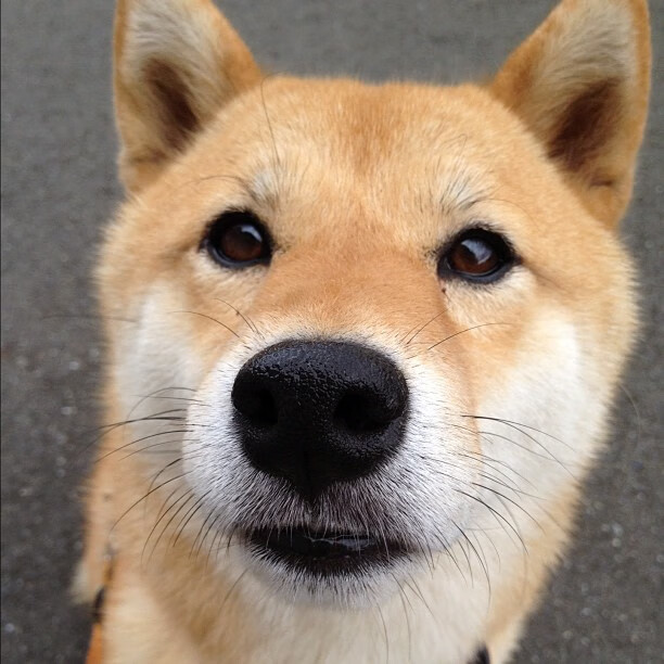 C罗与昔日恩师赛场重逢热泪盈眶，c罗与球迷