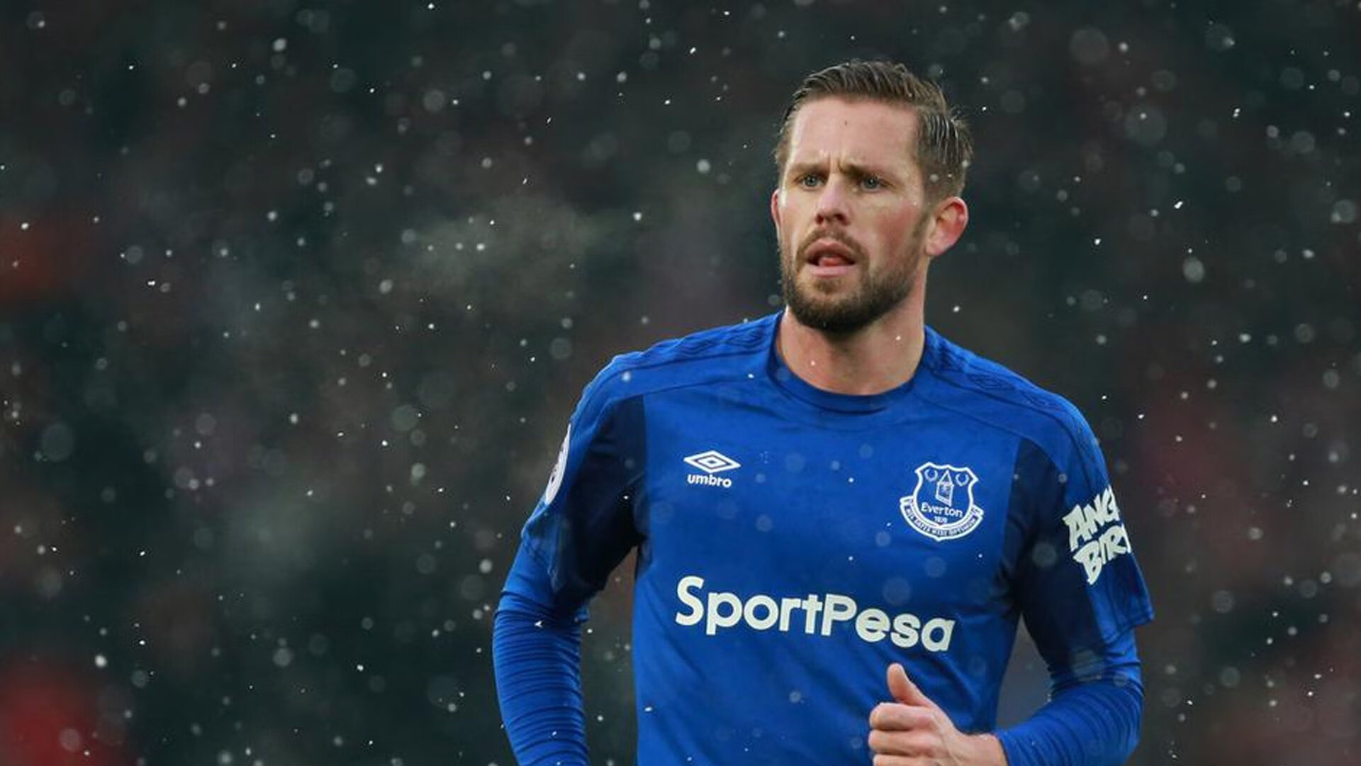 前热刺球星阿尔德韦雷尔德开启多彩人生，阿尔德里奇热火